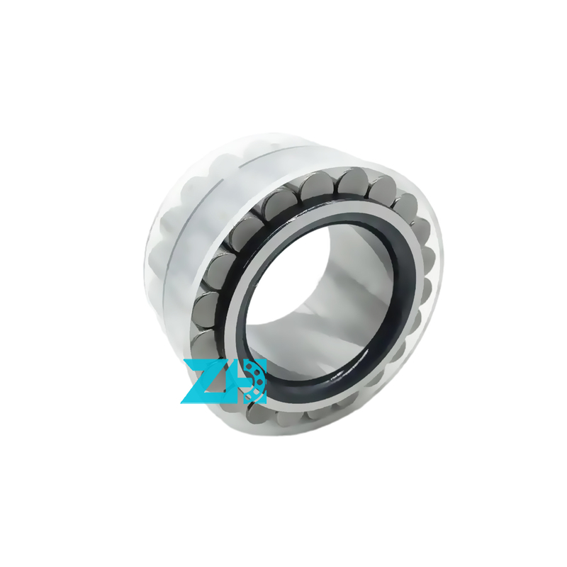 гидравлический насос цилиндрический роликовый подшипник F-559465 Of Cylindrical Bearing Complete Accessory F-559465.rnn